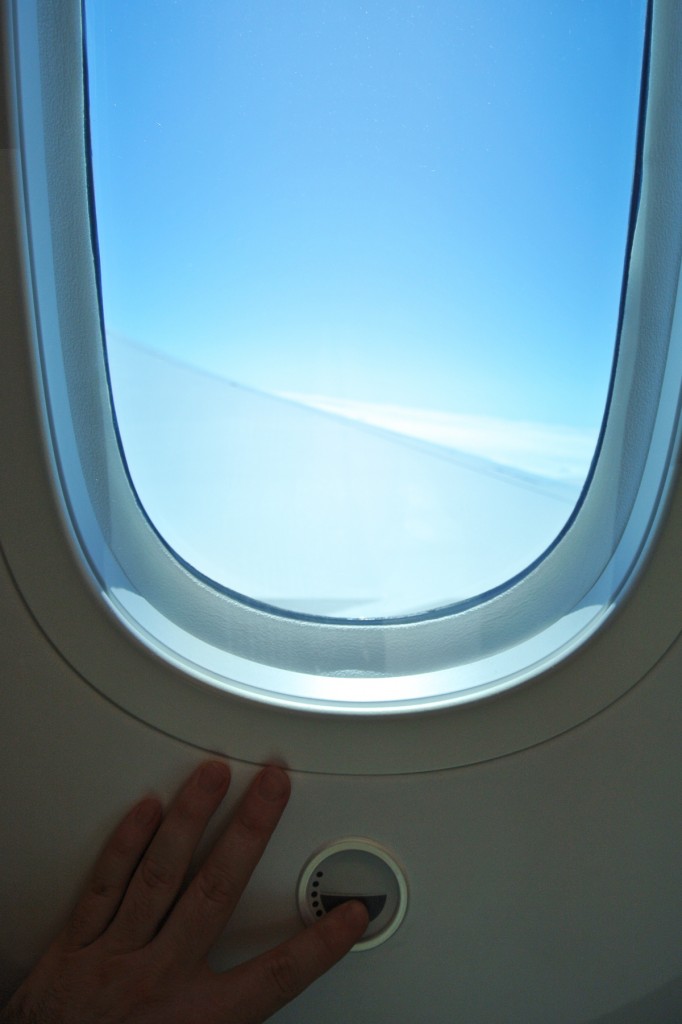 787 Window Adjust