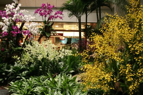 Singapore Butterfly Garden 1